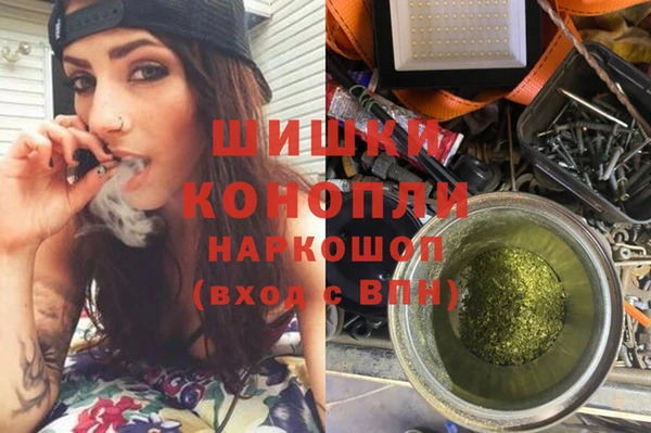 прущая мука Дмитриев