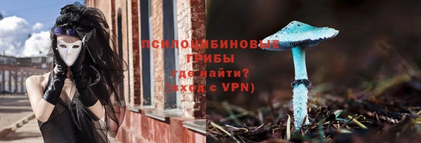 ECSTASY Дмитровск