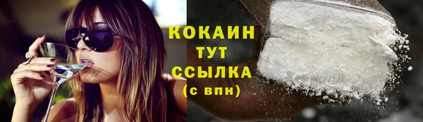 прущая мука Дмитриев