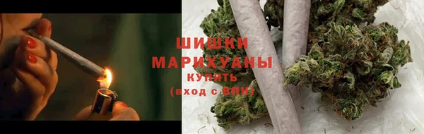 соль ск Дмитров