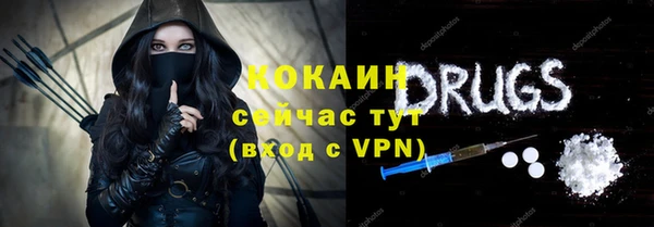 соль ск Дмитров