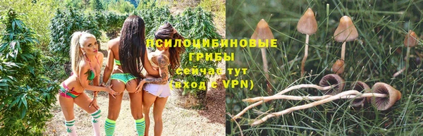 прущая мука Дмитриев