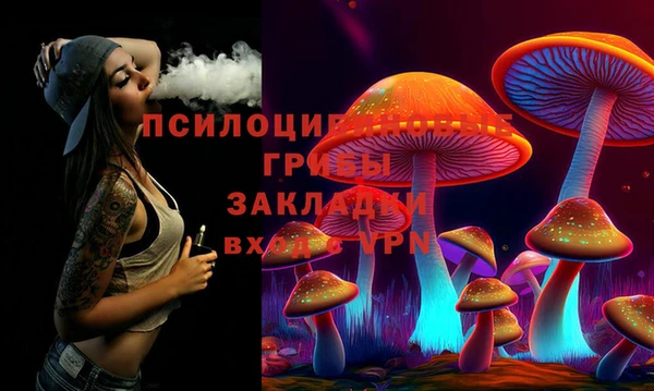 хмурый Вязьма